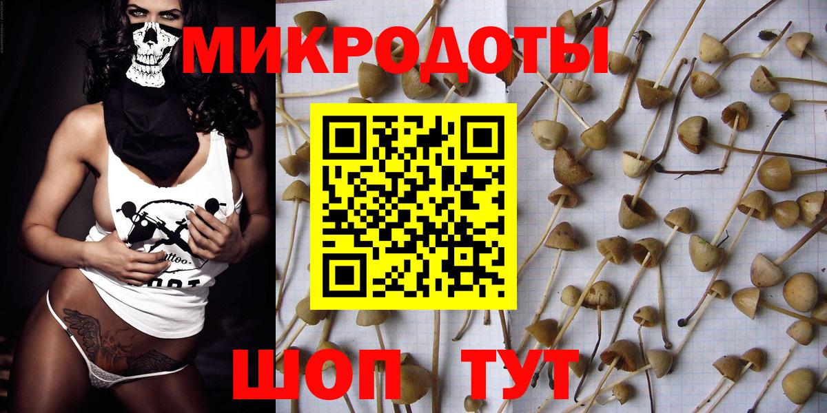 Рыбинск  цены   Вход с VPN  Галлюциногенные грибы Psilocybine cubensis 
